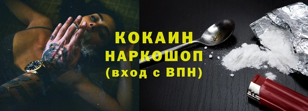 хмурый Алексин