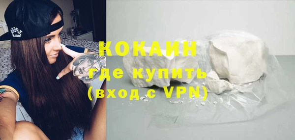хмурый Алексин