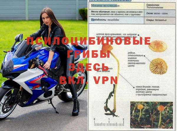 крисы Алексеевка
