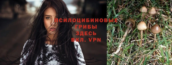 хмурый Алексин